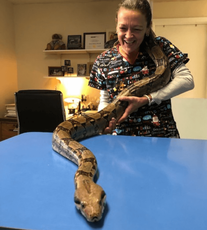 woman holding large snake
