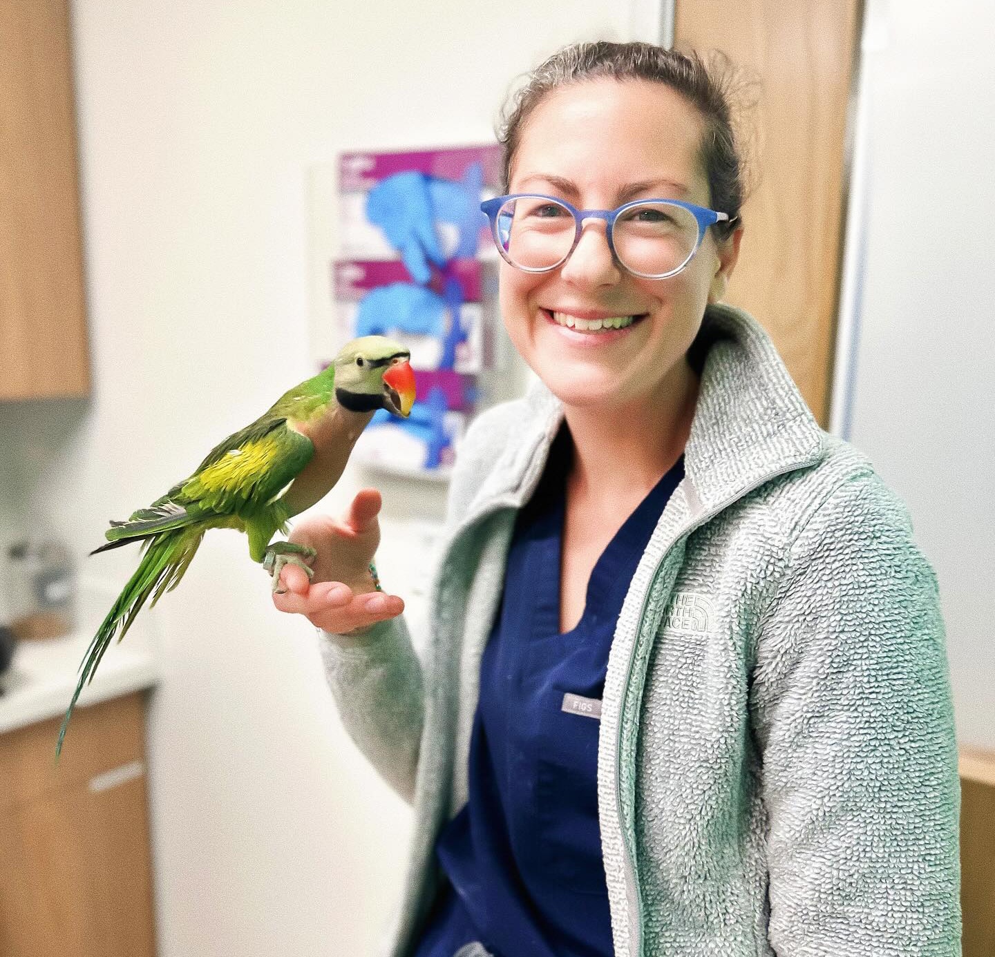 A veterinarian holding a bird